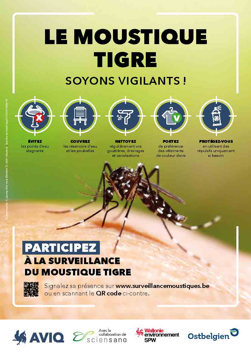 Affiche Moustique tigre.jpg Affiche Moustique tigre.jpg