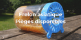 Lutte contre le frelon asiatique - Pièges disponibles